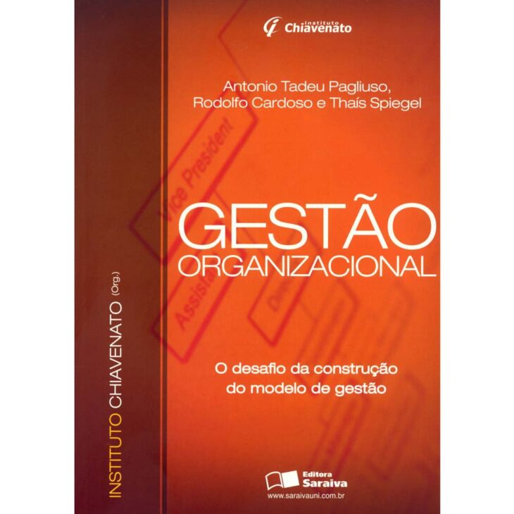 Gestao-Organizacional-O-Desafio-da-Construcao-do-Modelo-Rodolfo-Cardoso-Thais-Spiegel-Antonio-Tadeu-Pagliuso-133997