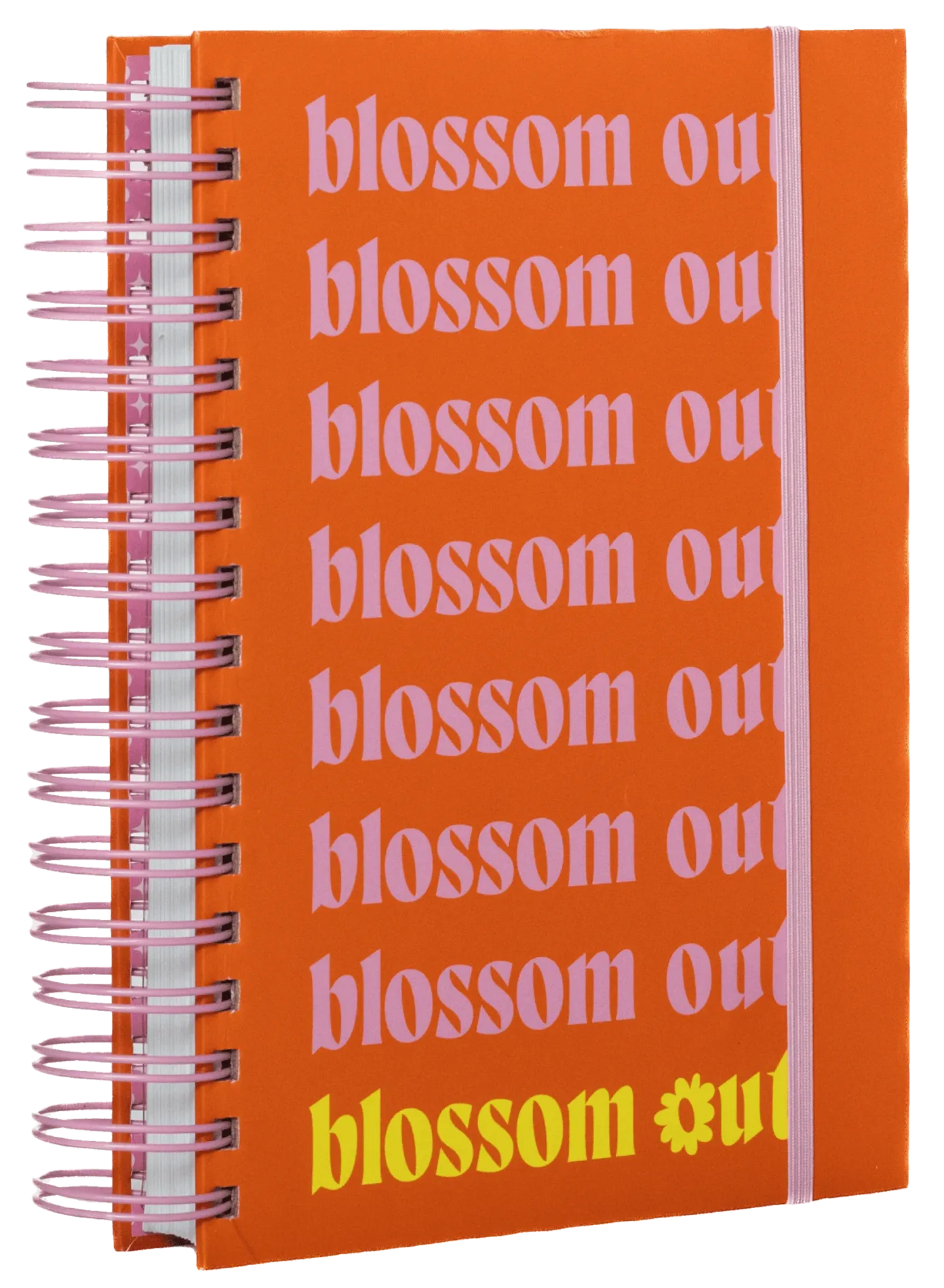 Meu plano perfeito – Planner Anual (Florescer)